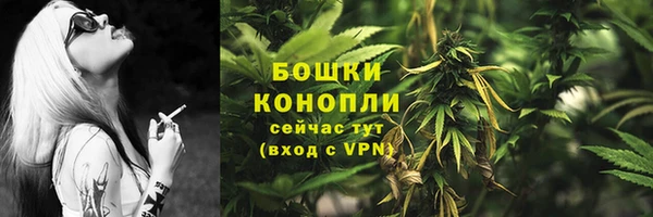 ECSTASY Магадан