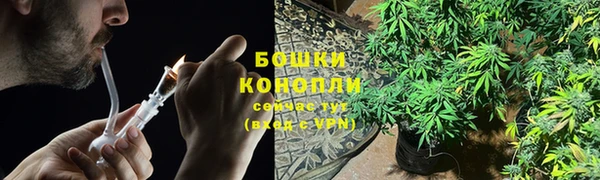 ECSTASY Магадан