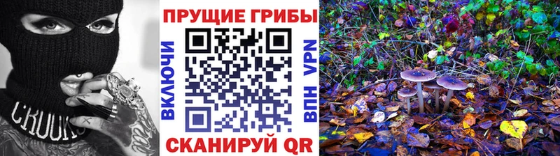Псилоцибиновые грибы Cubensis  купить наркоту  Игра 